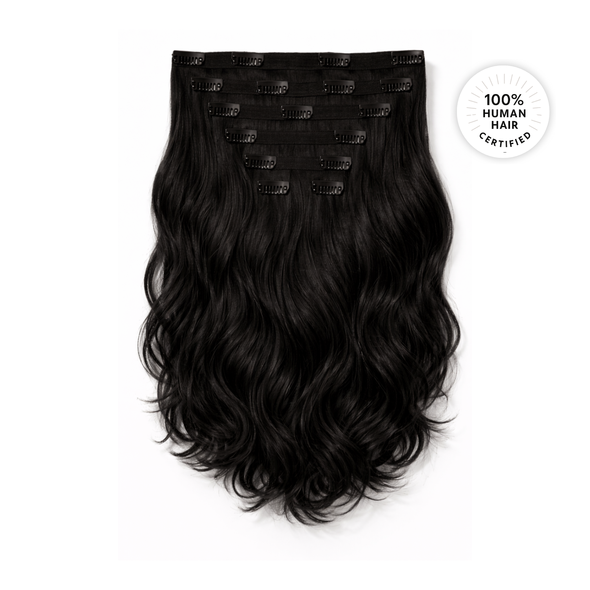 Black Wavy Clip-ins