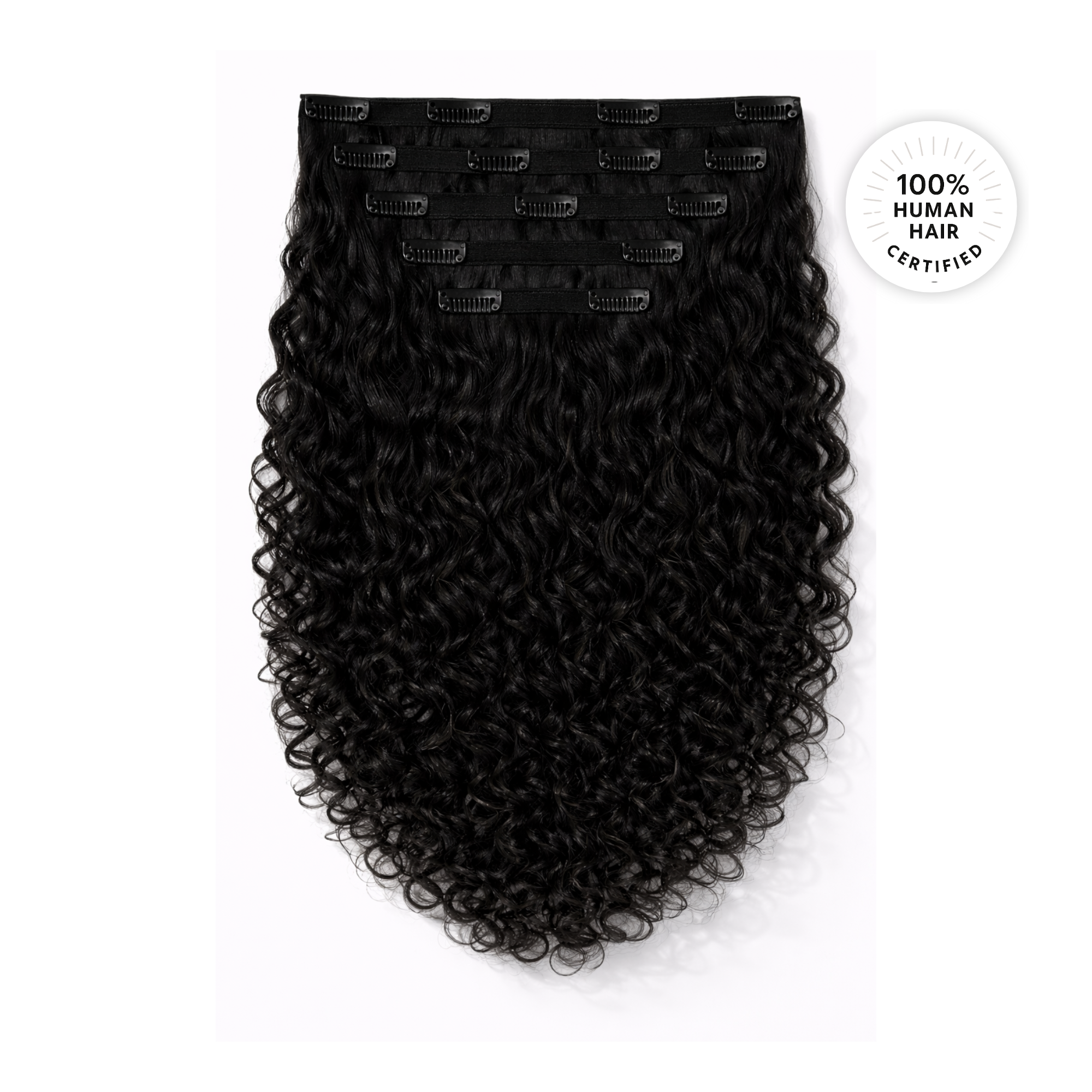 Black Curly Clip-ins
